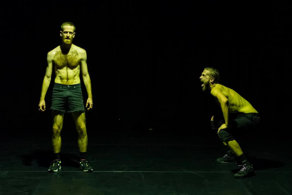Confort Zone Cia. Silke Z. Resistdance 